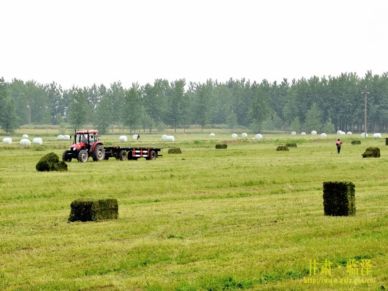 ����������ƽ�����ϻ���ޣ�����