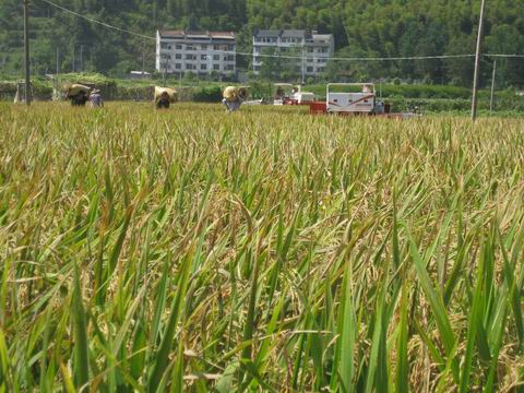 ����̩�����е������ո�����