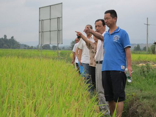 ������ũҵ���쵼������ר��������ֳ��鿴