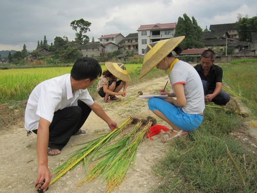 ũҵ�ּ�����Աʵ�ز��