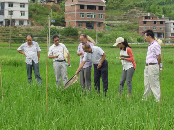 ��Ϫ�ص�������Ʒ������ʾ����չʾ���������Ч�õ���ר�ҳ�ֿ϶�