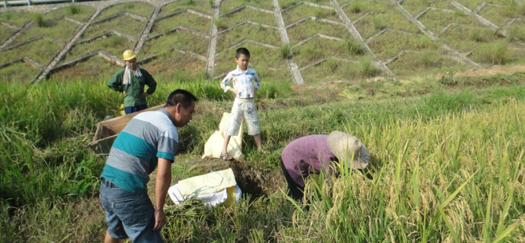 ������Ϫ��������Ҫ�������￴�Ź���