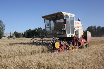 ���������в�������Ķ�߲�С���������