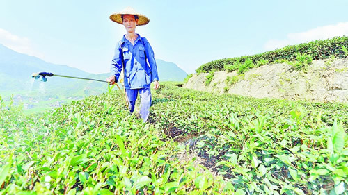 ������Ϫ���ƹ���̬��԰����