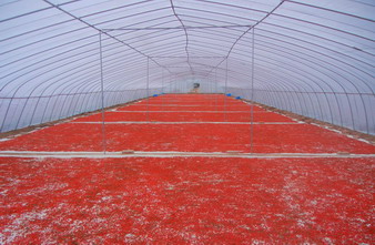 �������Ż������ּܹ�����ɹ��轳���2000��