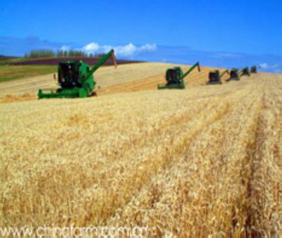 ���ɹź���������ϲ��������