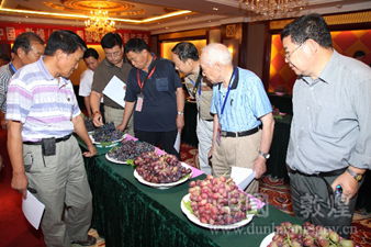 ����ػͣ�����չʾƷ���ֳ�����Ϯ��