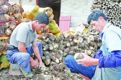 ����ɳ�أ��润��ͥũ�����������