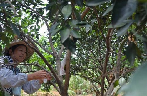 ���ϵ��ء��Գ��γ桱����10��Ķ��ɫ��Ȳ�ҵ