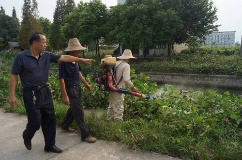 ��������Ѹ����֯��ɣ������ز�ȡ�ó�����Ч��ͼ��4��