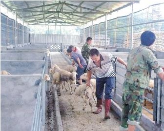 ���������򰲼Ҵ�����Դ