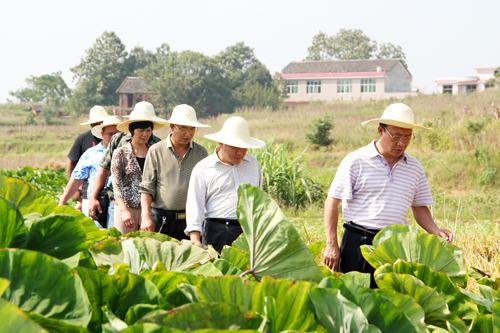 ���ϣ���Ħ��ũҵ�����ſ�����������ҵ3