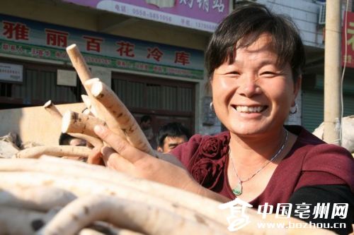 ���գ�ҩ������ ����Ʈ��