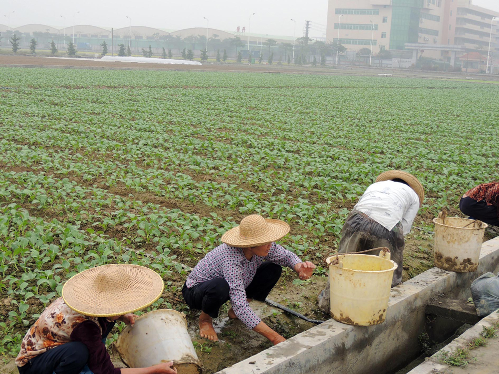 ��������߾ֹ�Ա���������ϵ����ȹ��۲���