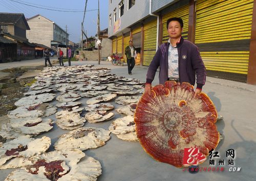 ���Ͼ�����ź������֥����գ����������ֿ���