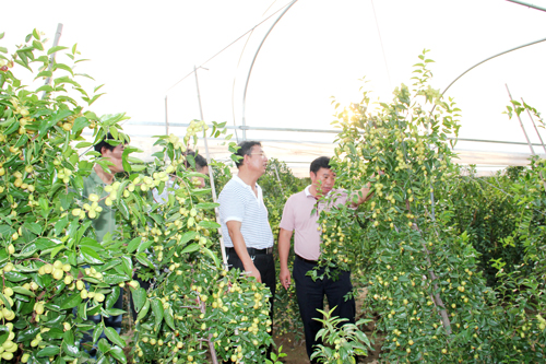 ���Ϻ���������������ũҵ�����ſ��������ҵ