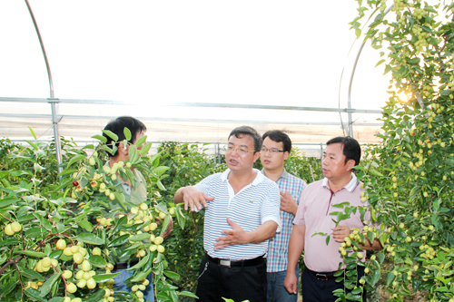 ���Ϻ���������������ũҵ�����ſ��������ҵ