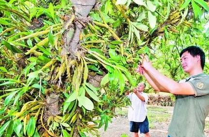 ����Ȫ�ݣ��������ϳ����ƽ�