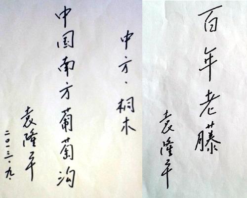 ���ϣ�Ԭ¡ƽΪ�з��������顱����������