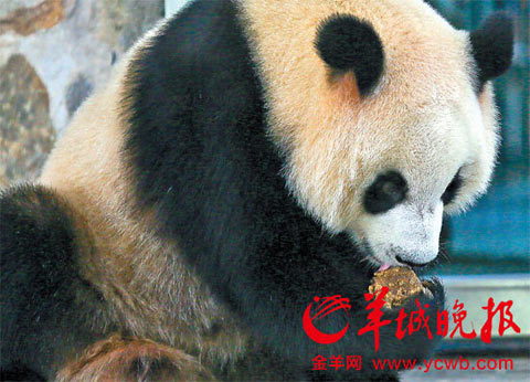 �㶫���ݡ�ˮ�������족 ����󲿵���������