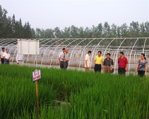 ũҵ��������ר�����ֳ����ڴ�ͨ�����ٿ�