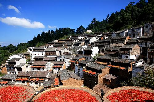 ������Դ�Ŵ塰ɹ�ͼ