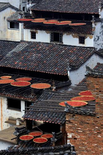 ����9��21���ڽ���ʡ��Դ�ؽ��������������Ĺ�����ݼ�����ɹ�ĺ�����