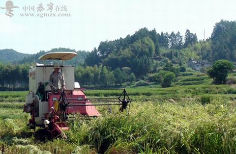 ����̩������������ˮ��ϲ����