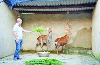 ����ɳ�أ�ͷ��¹������4��Ԫ