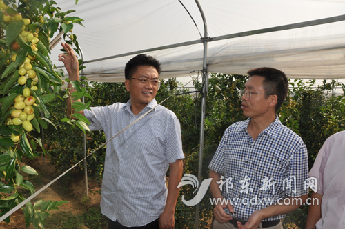 ���������ί���׸߷ɵ���ȫ����ҵ��չ���