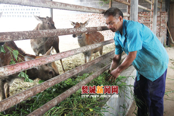 �㽭��Ϫ����Ϫ��Ѯ�ϲ�����¹��