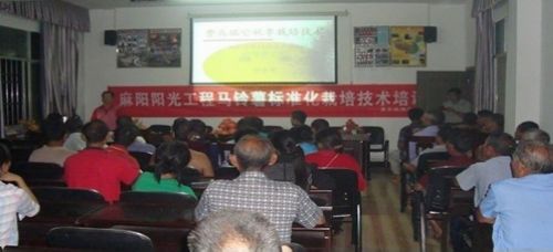 ����������վվ����Сƽ��̷��կ���ľ�Ŵ������ѵ