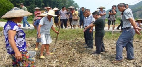 ���ֳ�֣����������վ������ʵ��ָ������������׼����ֲ������