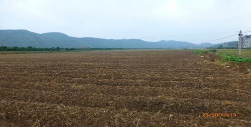 ������¡�ұ��粽��ƺ����������׼��ʾ������