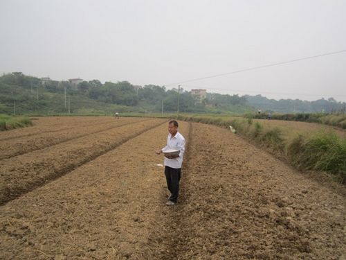 ���϶������Ե���棬ʯ�������ﶬ������ӭͷ����