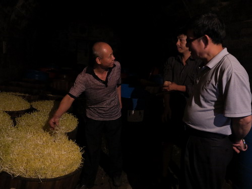 ������Ԫ����չ��ѿ��ȫר�����ж�