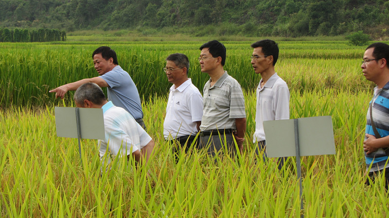 ���������˸�һ������������ָ����Ʒ������