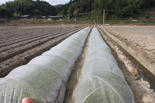 ������������������������ݫ������