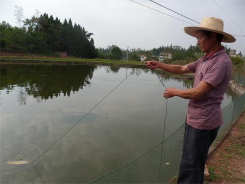 ��ƽҦ���£��¸ں���ǿ��Ϣ ��̬�������¸�