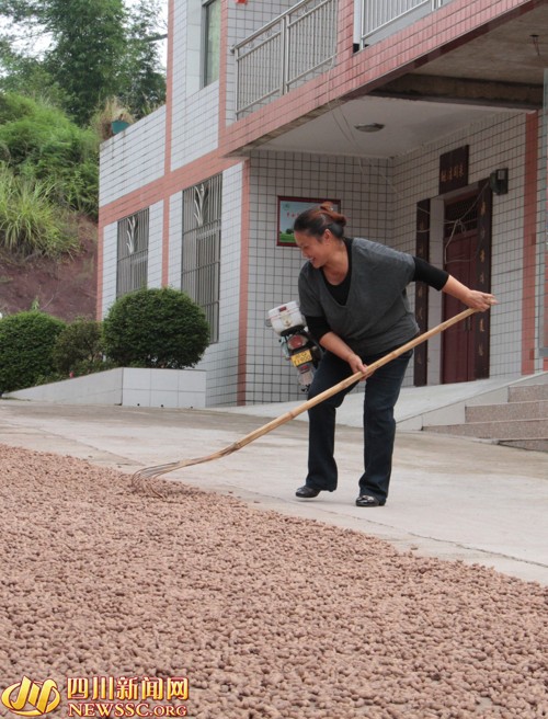 �Ĵ�������Ϫ�緢չ����������ũ����