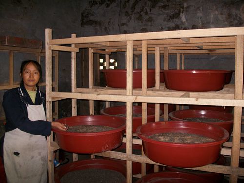 ������¡��᣺������Ԫ���¸���