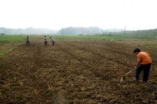 ����˫������������ʵ�ƽ�����������������