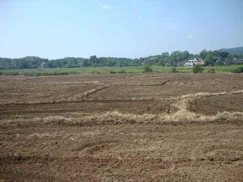 ���϶����أ�«�������Ͳ˲���ȫ��չ��