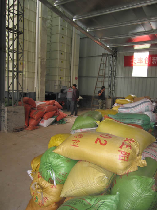 �����������������ɹ����æ