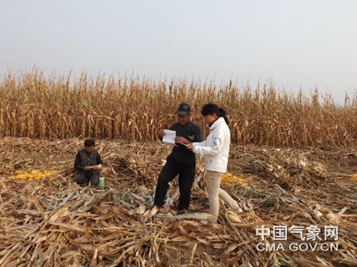 ������ƽ������Ϊũ�������