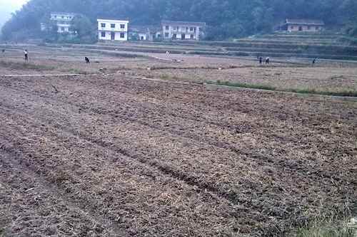 ����˫�微������������ץ�Ͳ˻��ؽ���