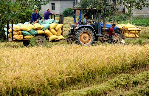 10��10�գ������½����ֻ�����˴�ũ���������ջ���е�