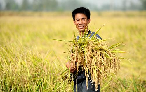 10��10�գ������½�����ɽ��������һλũ�����ջ��е�