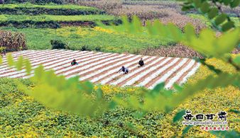 ������ؼӴ�չ�����ҵ