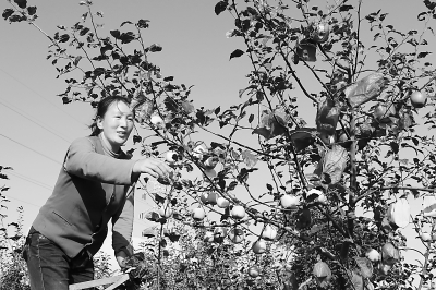 ���ྲ����ǿ��׼����������ָ�������ƶ���ҵ���÷�չ